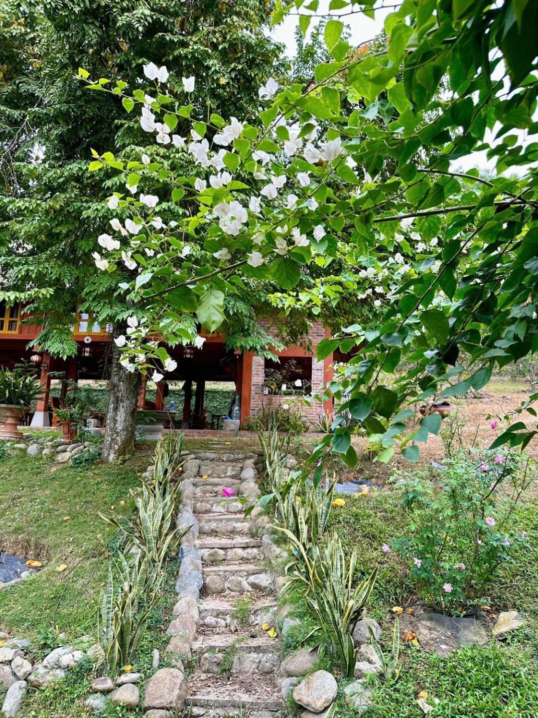 Pài Bjooc homestay Tuyen Quang Ngoại thất bức ảnh